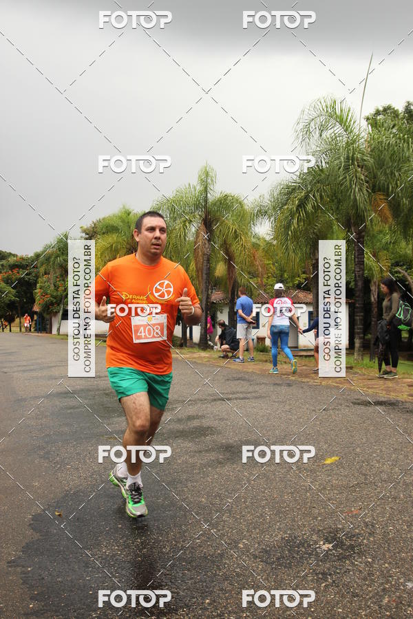 Buy your photos of the event3� Corrida Pernas de Aluguel 10K on Fotop