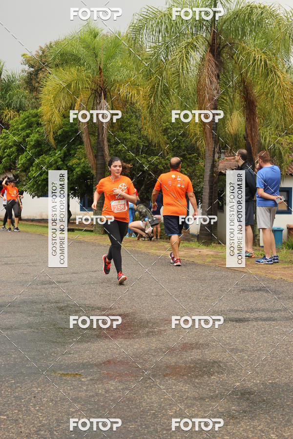 Buy your photos of the event3� Corrida Pernas de Aluguel 10K on Fotop