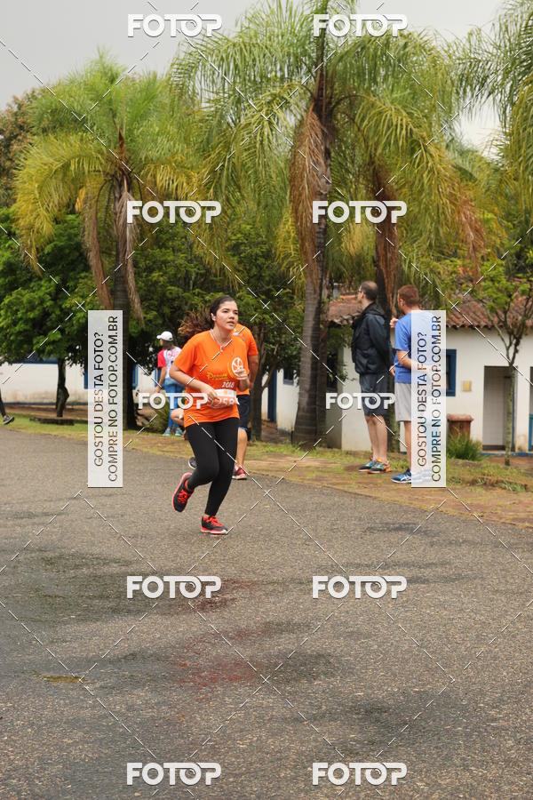 Buy your photos of the event3� Corrida Pernas de Aluguel 10K on Fotop