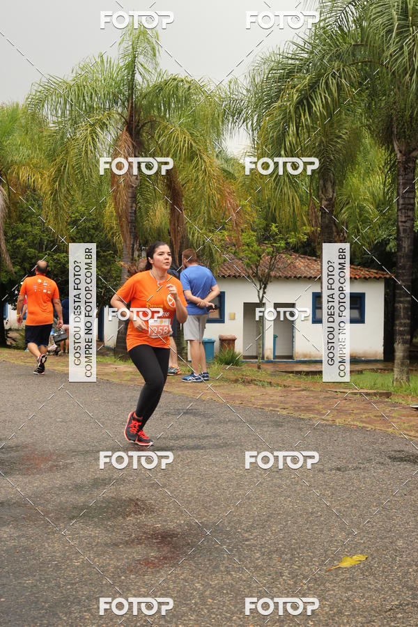 Buy your photos of the event3� Corrida Pernas de Aluguel 10K on Fotop
