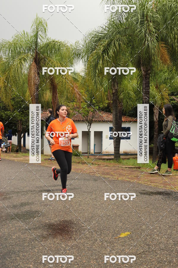 Buy your photos of the event3� Corrida Pernas de Aluguel 10K on Fotop