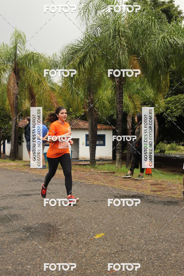 Buy your photos of the event3� Corrida Pernas de Aluguel 10K on Fotop