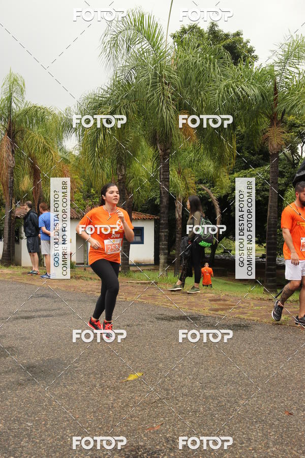 Buy your photos of the event3� Corrida Pernas de Aluguel 10K on Fotop