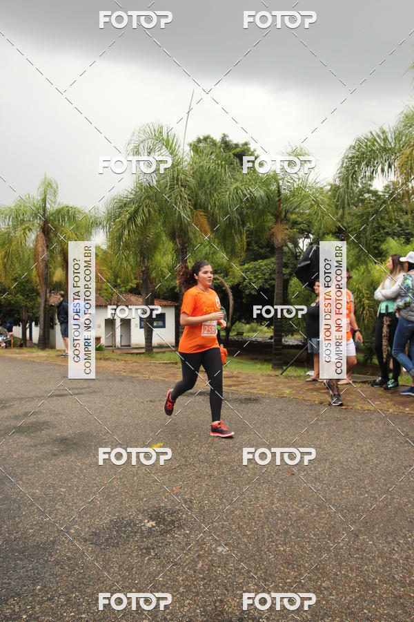 Buy your photos of the event3� Corrida Pernas de Aluguel 10K on Fotop