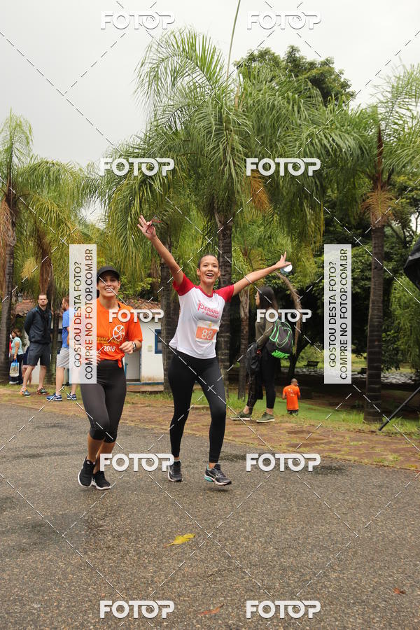 Buy your photos of the event3� Corrida Pernas de Aluguel 10K on Fotop