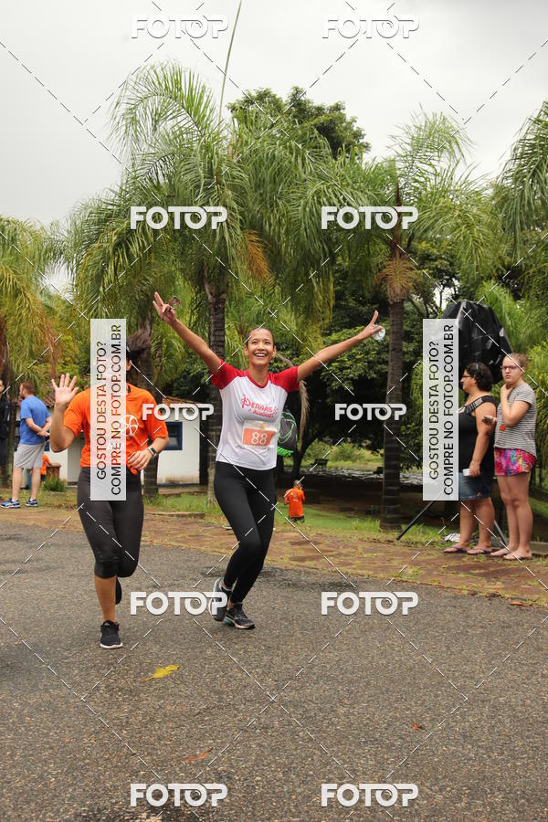 Buy your photos of the event3� Corrida Pernas de Aluguel 10K on Fotop
