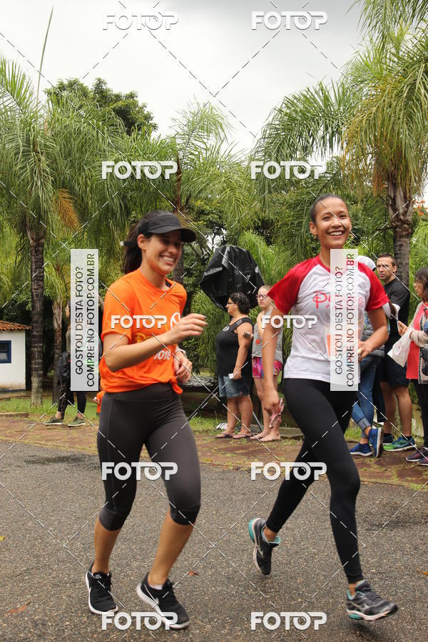 Buy your photos of the event3� Corrida Pernas de Aluguel 10K on Fotop