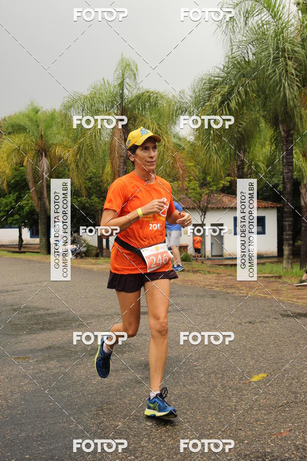 Buy your photos of the event3� Corrida Pernas de Aluguel 10K on Fotop