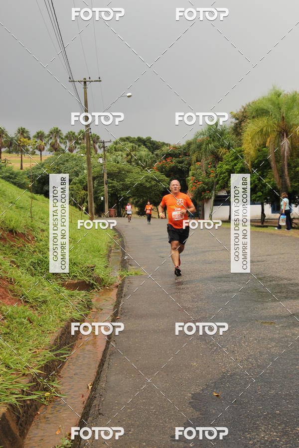 Buy your photos of the event3� Corrida Pernas de Aluguel 10K on Fotop