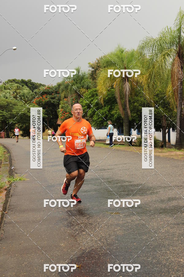 Buy your photos of the event3� Corrida Pernas de Aluguel 10K on Fotop