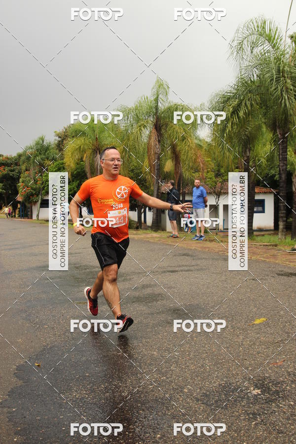 Buy your photos of the event3� Corrida Pernas de Aluguel 10K on Fotop