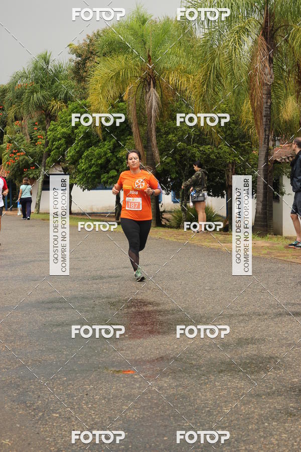 Buy your photos of the event3� Corrida Pernas de Aluguel 10K on Fotop