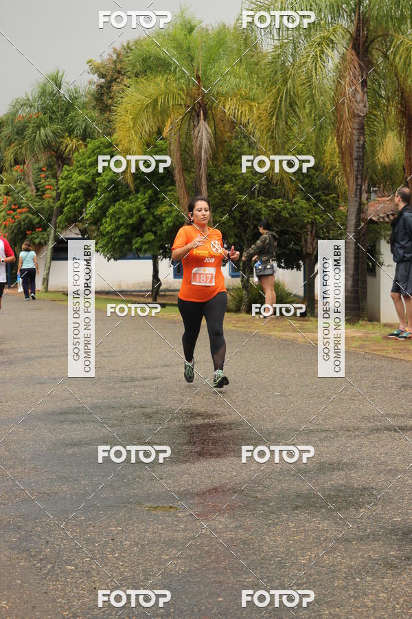 Buy your photos of the event3� Corrida Pernas de Aluguel 10K on Fotop