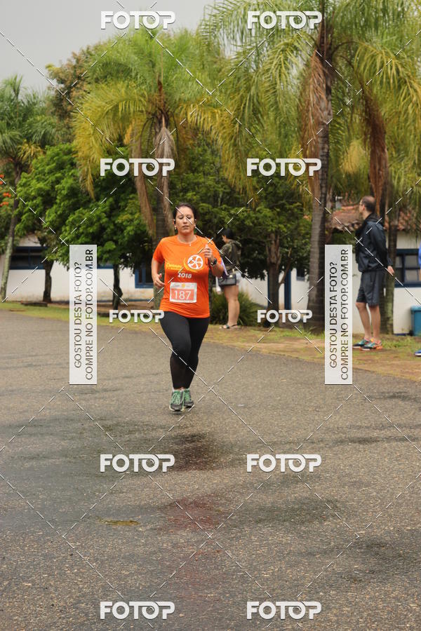 Buy your photos of the event3� Corrida Pernas de Aluguel 10K on Fotop