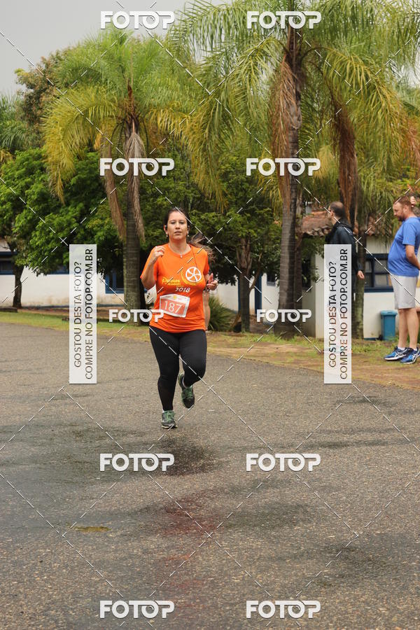 Buy your photos of the event3� Corrida Pernas de Aluguel 10K on Fotop