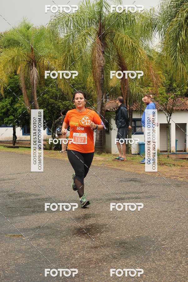 Buy your photos of the event3� Corrida Pernas de Aluguel 10K on Fotop