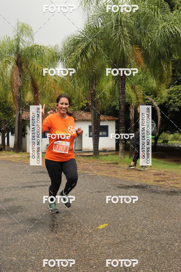 Buy your photos of the event3� Corrida Pernas de Aluguel 10K on Fotop