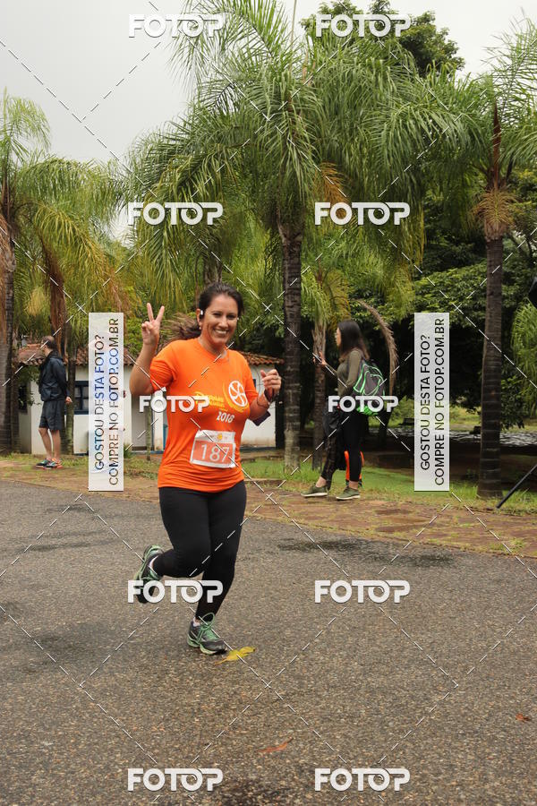 Buy your photos of the event3� Corrida Pernas de Aluguel 10K on Fotop