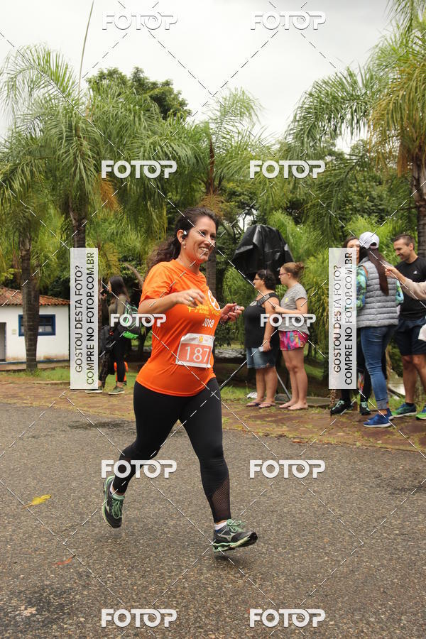 Buy your photos of the event3� Corrida Pernas de Aluguel 10K on Fotop