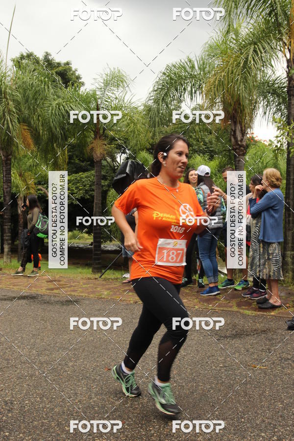 Buy your photos of the event3� Corrida Pernas de Aluguel 10K on Fotop