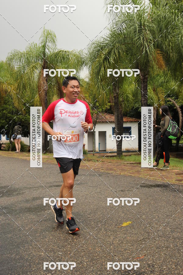 Buy your photos of the event3� Corrida Pernas de Aluguel 10K on Fotop