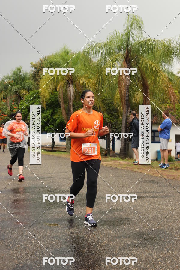 Buy your photos of the event3� Corrida Pernas de Aluguel 10K on Fotop