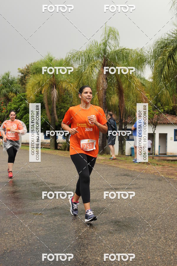 Buy your photos of the event3� Corrida Pernas de Aluguel 10K on Fotop