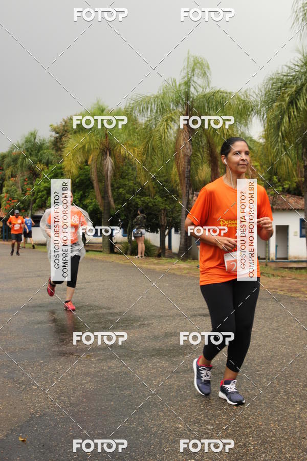 Buy your photos of the event3� Corrida Pernas de Aluguel 10K on Fotop