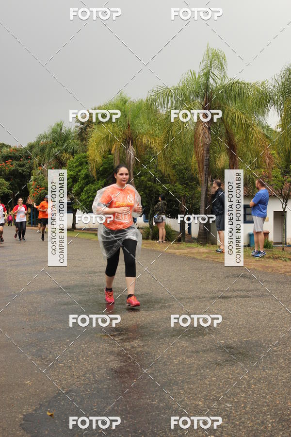 Buy your photos of the event3� Corrida Pernas de Aluguel 10K on Fotop