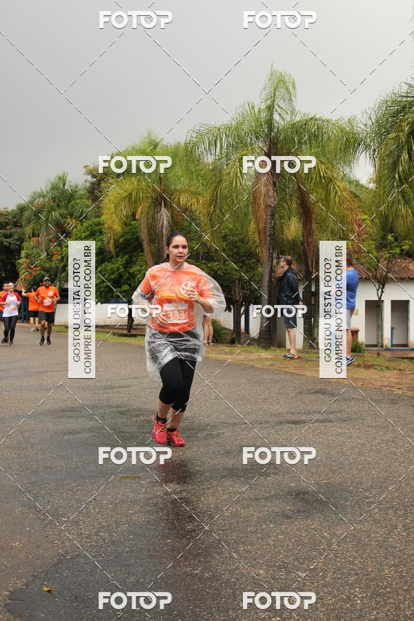 Buy your photos of the event3� Corrida Pernas de Aluguel 10K on Fotop