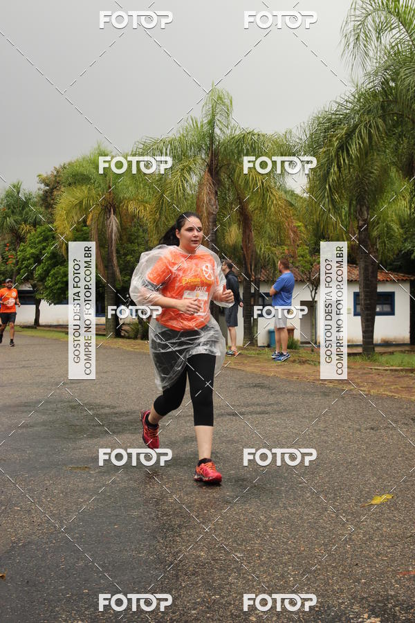 Buy your photos of the event3� Corrida Pernas de Aluguel 10K on Fotop