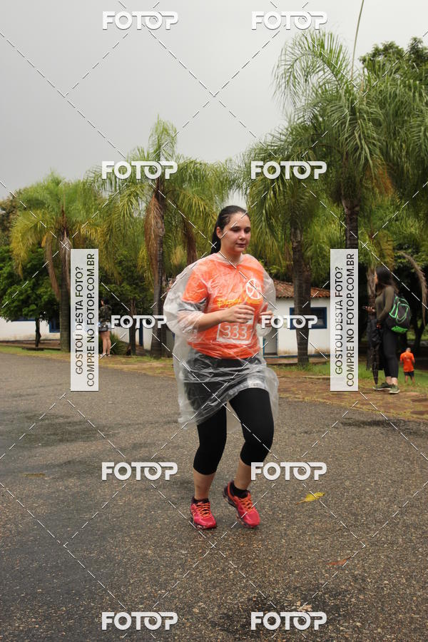 Buy your photos of the event3� Corrida Pernas de Aluguel 10K on Fotop