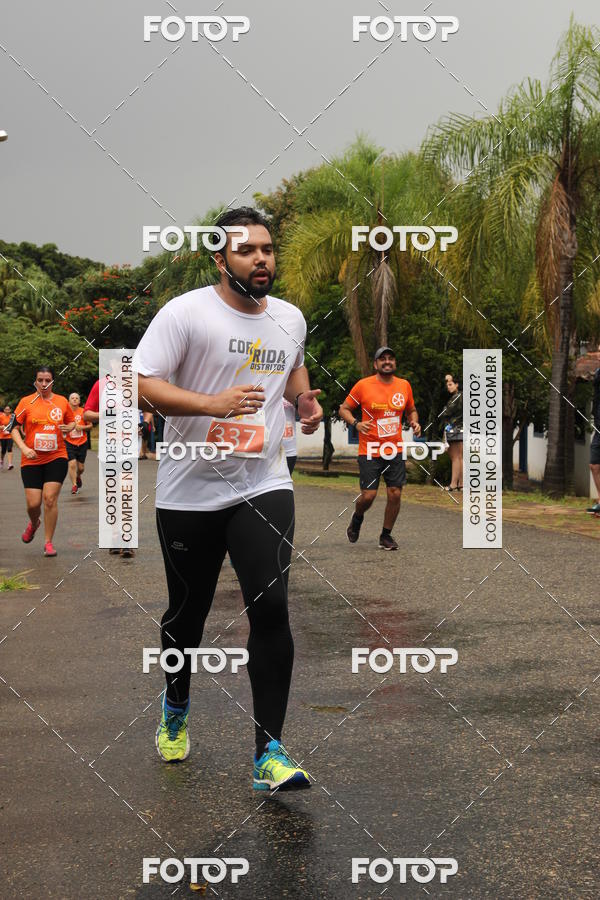 Buy your photos of the event3� Corrida Pernas de Aluguel 10K on Fotop