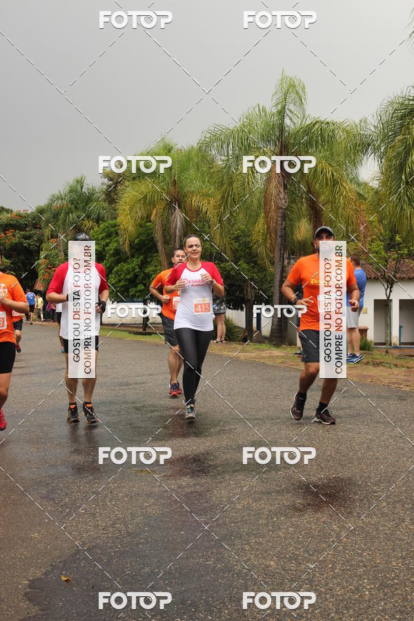 Buy your photos of the event3� Corrida Pernas de Aluguel 10K on Fotop