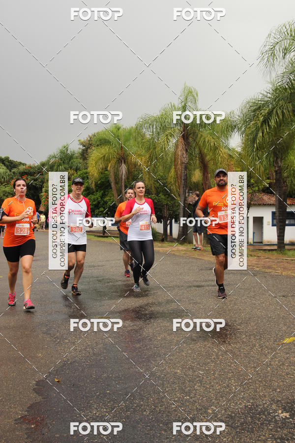 Buy your photos of the event3� Corrida Pernas de Aluguel 10K on Fotop