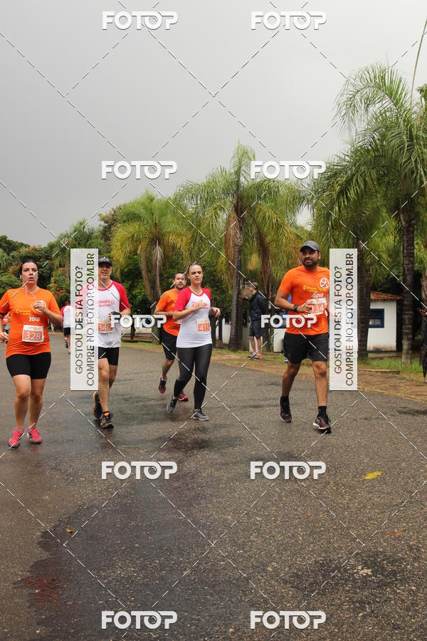 Buy your photos of the event3� Corrida Pernas de Aluguel 10K on Fotop