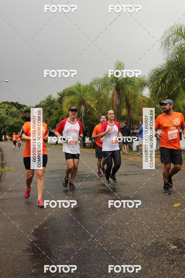 Buy your photos of the event3� Corrida Pernas de Aluguel 10K on Fotop