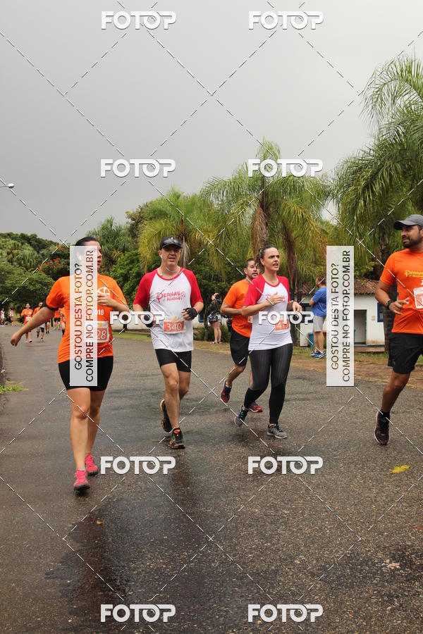 Buy your photos of the event3� Corrida Pernas de Aluguel 10K on Fotop