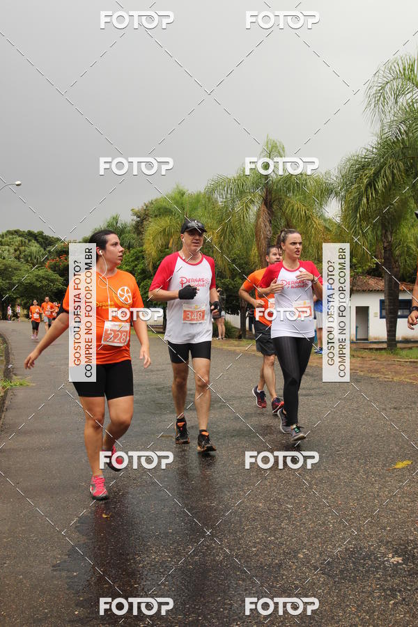 Buy your photos of the event3� Corrida Pernas de Aluguel 10K on Fotop