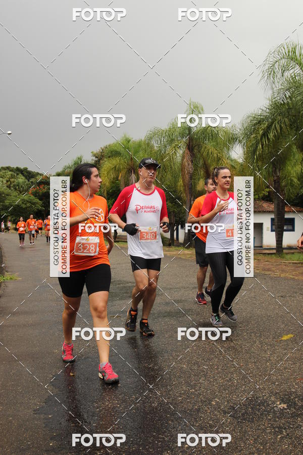 Buy your photos of the event3� Corrida Pernas de Aluguel 10K on Fotop