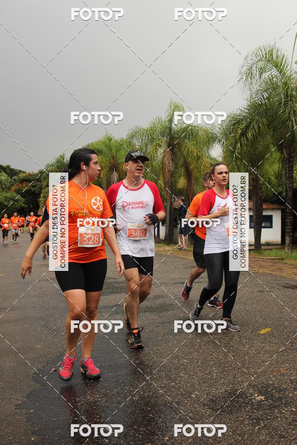 Buy your photos of the event3� Corrida Pernas de Aluguel 10K on Fotop
