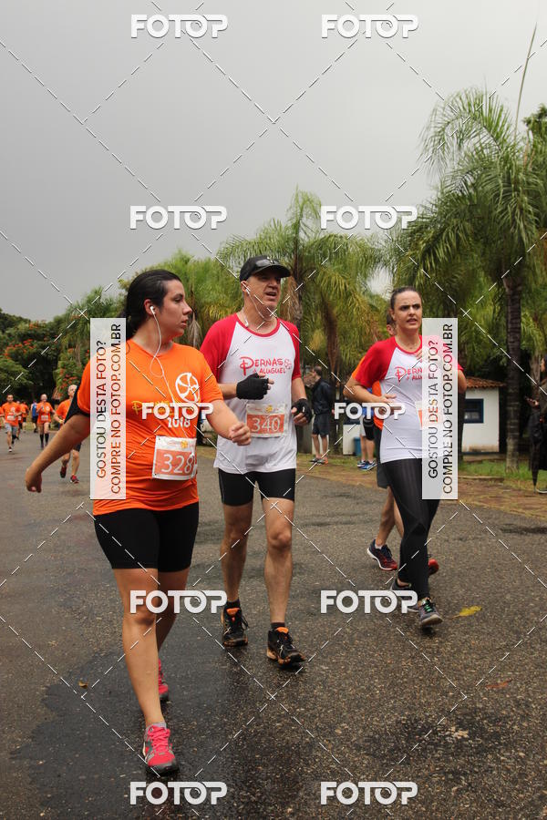 Buy your photos of the event3� Corrida Pernas de Aluguel 10K on Fotop