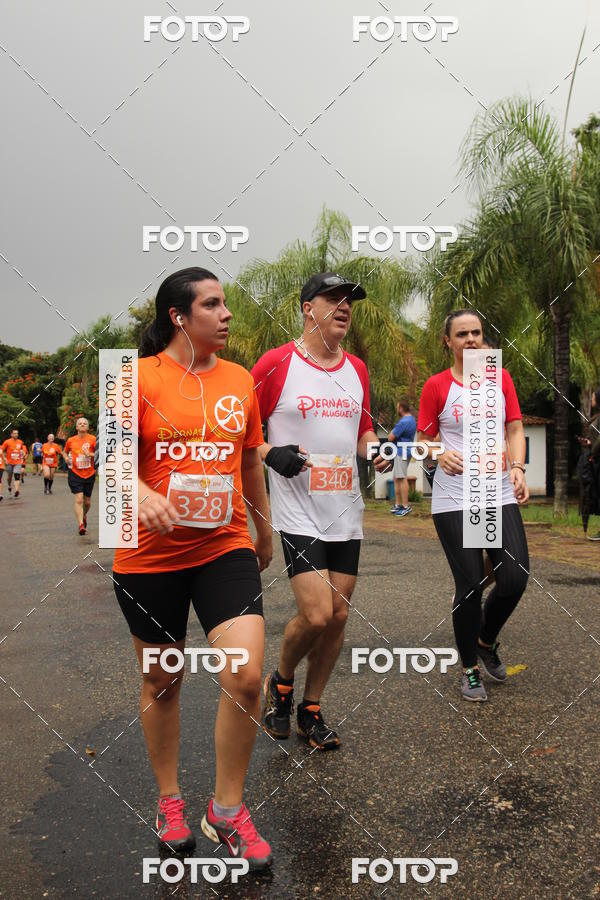 Buy your photos of the event3� Corrida Pernas de Aluguel 10K on Fotop