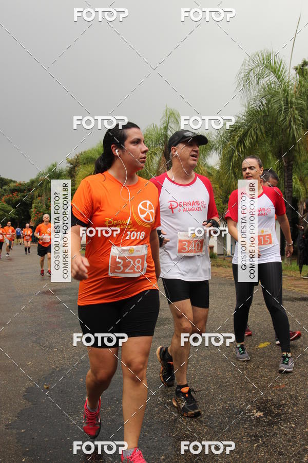 Buy your photos of the event3� Corrida Pernas de Aluguel 10K on Fotop