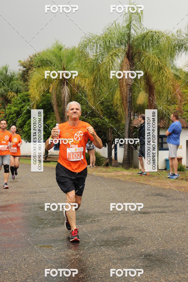 Buy your photos of the event3� Corrida Pernas de Aluguel 10K on Fotop