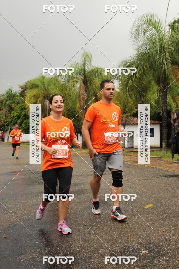 Buy your photos of the event3� Corrida Pernas de Aluguel 10K on Fotop