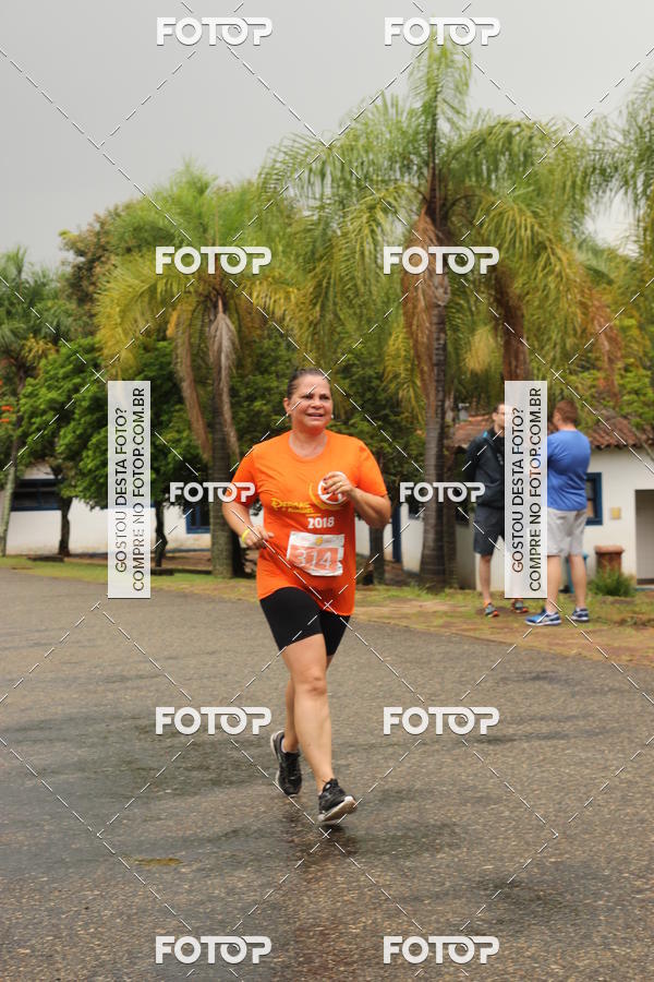 Buy your photos of the event3� Corrida Pernas de Aluguel 10K on Fotop