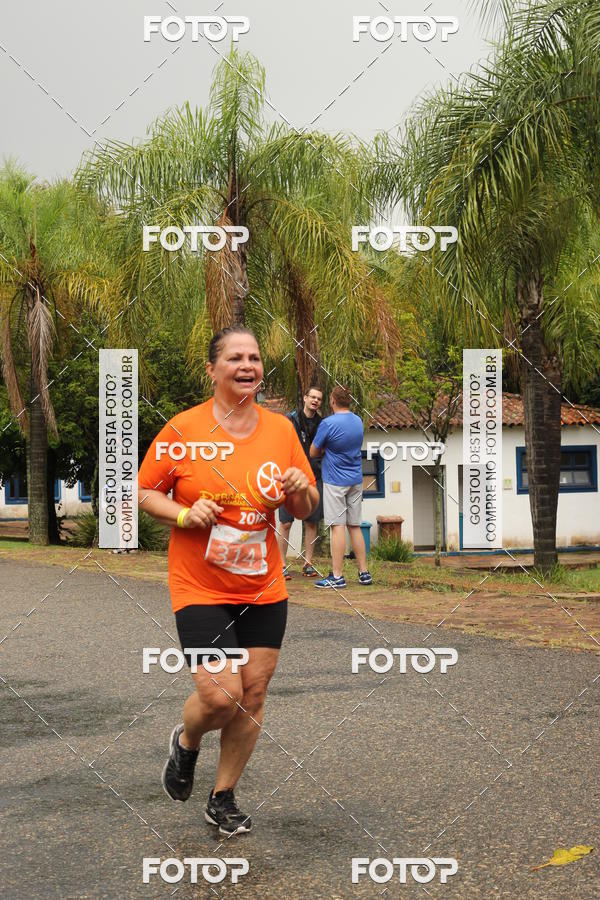 Buy your photos of the event3� Corrida Pernas de Aluguel 10K on Fotop