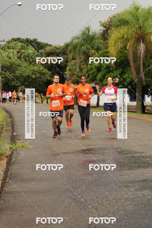 Buy your photos of the event3� Corrida Pernas de Aluguel 10K on Fotop