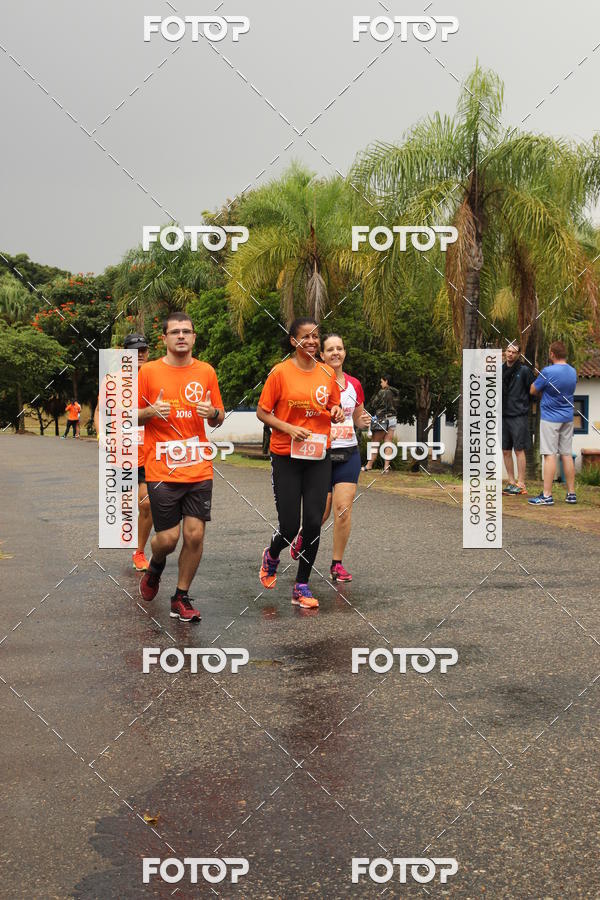 Buy your photos of the event3� Corrida Pernas de Aluguel 10K on Fotop